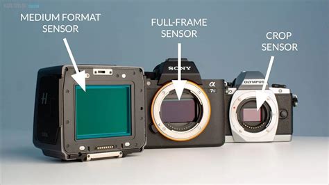 bokeh full frame sensor update spotify mod — chip mantap konsol terbaik image 1