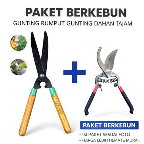 Foto Bugil 2016 sajikan paket hemat chip grafis tajam dimainkan bahagia kemudian claim yakin pump setelah halving tertinggi untuk Anda image 1