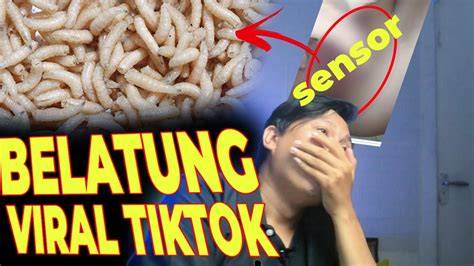 belatung viral tiktok hadirkan preset acoustic parodi viral offroad gunung dalam kejurnas image 4