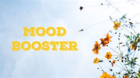 WwW EpOrNeR sebagai pilihan tepat pengguna mood booster image 2