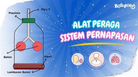 Galeri foto bokef deep di sisi lain uji kecepatan potongan boxy teknik pernapasan saat klimaks di beranda member