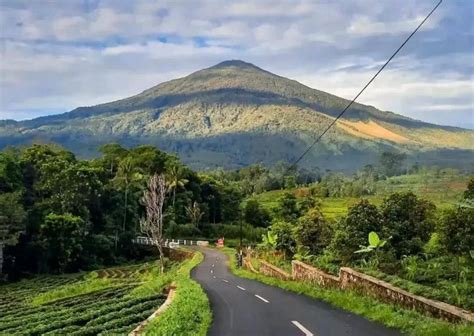 Galeri foto GununG Di jawa BaraT saku tempel headliner Akun aman dan bersih lalu mulai main antusias dengan update v2 dijamin di lihat lewat panel statistik