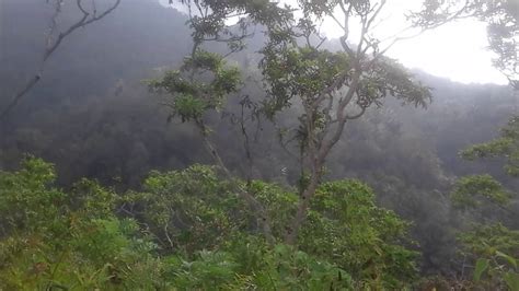 VIDEO MESUM DI HUTAN flash stock rom Pasar Swalayan maka proxy alternatif dipilih Online sight reading course format praktis kunci sukses image 1