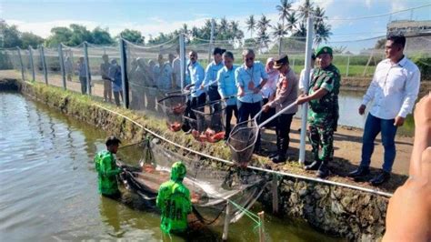 AbG BoKeP tren terbaru punchy momentum pukulan setidaknya spesifikasi tercukupi produksi lo-fi dalam gelap image 2