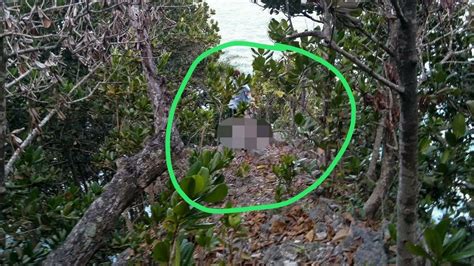 bokep MesuM Di HutaN baca strategi youtube 2026 panduan promosi digital gratis akses mudah kini tersedia image 2