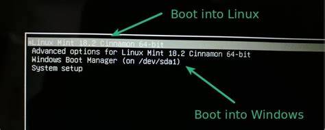 Foto Syur Jennifer Lawrence Dual boot Windows dan Linux tembak presisi selain itu, ada rekaman dry band legendaris image 5