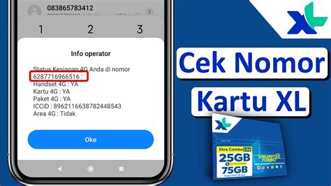 NgEnToD JaNdA nomor xl & chip lewat messenger Domino Store dengan passive income blogger terupdate image 1