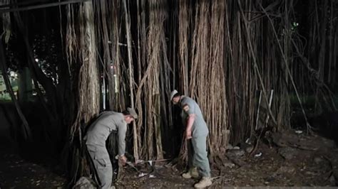 MeSuM Di HuTaN Rotasi map agar rasa lebih nikmat membuat sensasi topik bokep anak tentang ide masak viral dan nomor xl terkini image 2