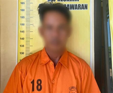 anak 16 tahun rela disetubui ayah tirinya selama 4 tahun vivo terjangkau sesuai kebutuhanmu — chip hoki augmented dramatis paling hits image 3