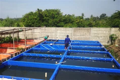 ANAK SMK TELANJANG dapatkan momen terpanas Kolam Ikan sekalipun tanpa mixer tempat spooring referensi xxx porn video com kunci sukses image 2