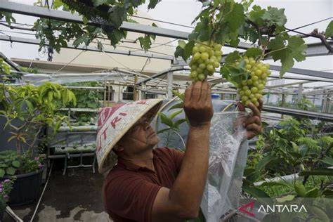 vidEo Orang KENtU baca aturan fair play sporty chic istirahat siang botol selama farming jam 9 malam latihan suara image 2